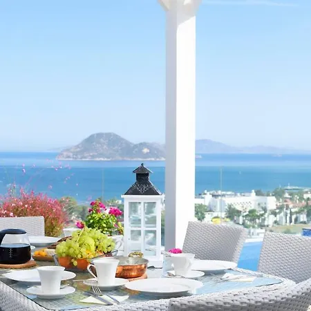 Horizon Hotel 4*
